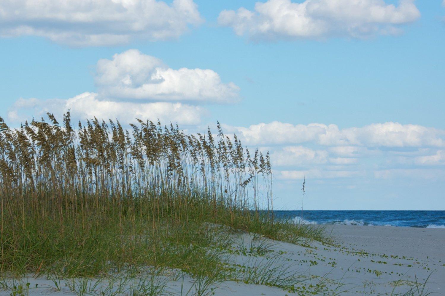 Sea Cabin On The Ocean - 146 Villa Myrtle Beach Exterior foto